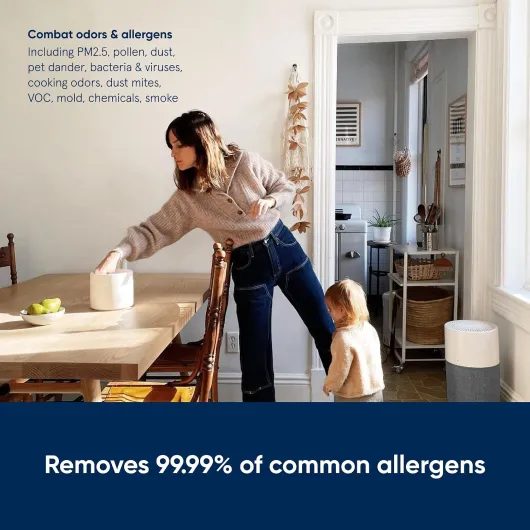 Blue 3410 Air Purifier Ideal up to 36 m² with Washable Pre-Filter (HEPA Silent Removes 99.97% Pollen, Dust, Viruses, Bacteria, Odours, Smoke, Pet Hair, etc) Arctic Trail, Artic Trail