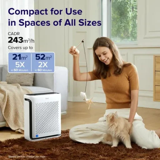 Levoit Vital 100S Review: a quiet smart purifier that actually helps with dust and pet stuff