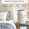 Levoit Eleva 300X Review: a quiet bedroom purifier that actually shows you what’s in your air