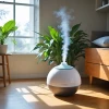 Choosing the Right Filters for Your Humidifier