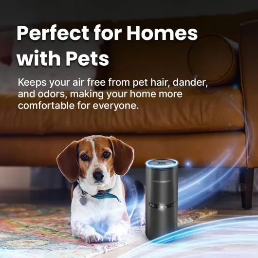 61BNIJi6m L._AC_SL1000_