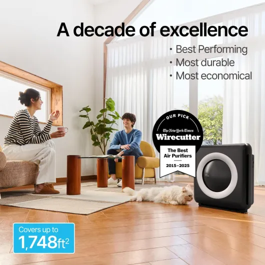 71AyJOqyuoL._AC_SL1500_