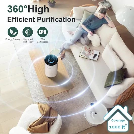 71JyYXoFnHL._AC_SL1500_