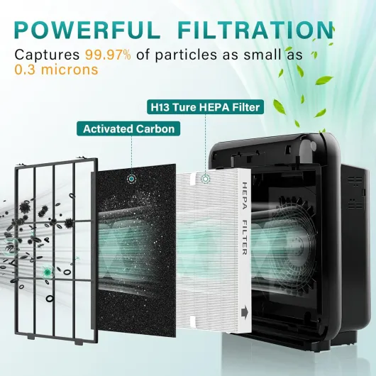 71N SmhZpmL._AC_SL1500_