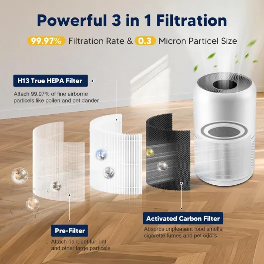 81C U79w33L._AC_SL1500_