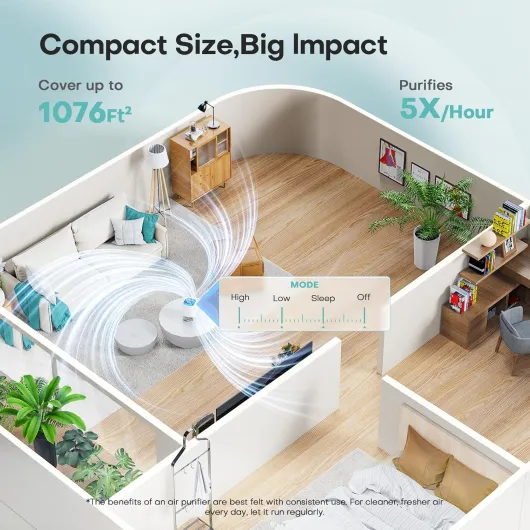 81f-vPrAhRL._AC_SL1500_