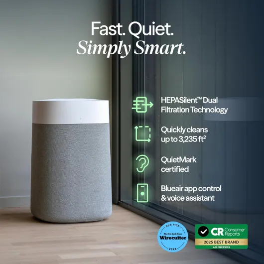 81o-BoyyH7L._AC_SL1500_