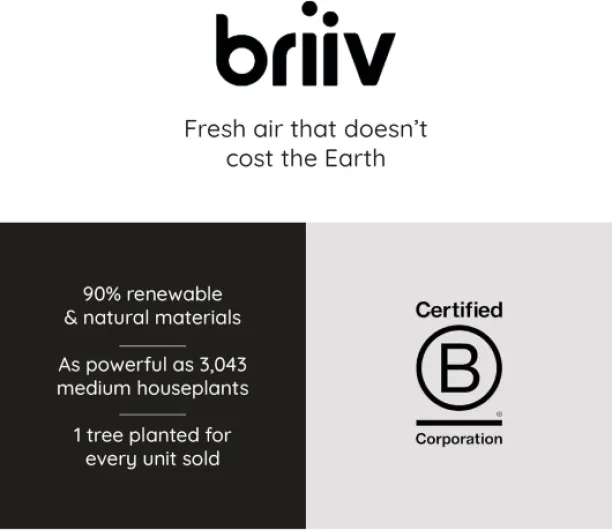 61p22hYantL._AC_SL1500_