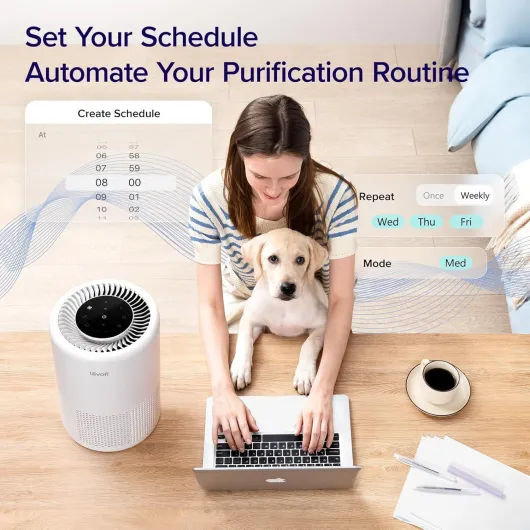 81wRwlEyYTL._AC_SL1500_