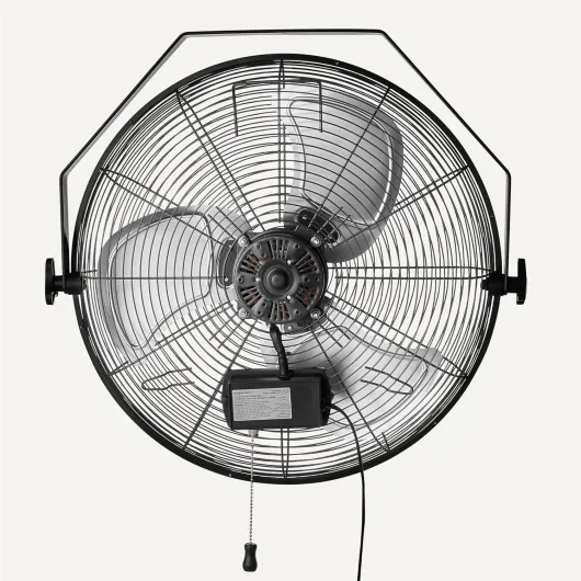 81Q4pe1RmjL._AC_SL1500_