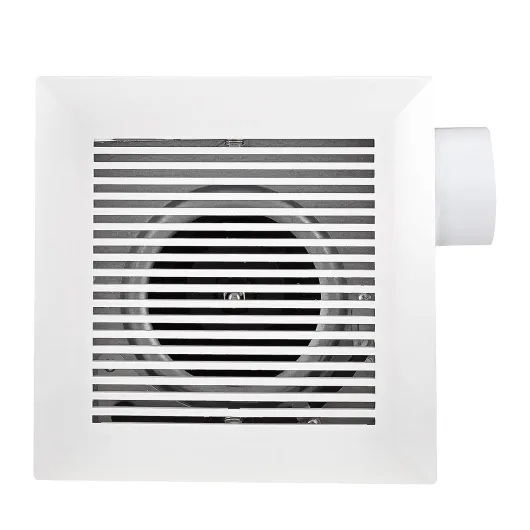 81w7wur5UhL._AC_SL1500_