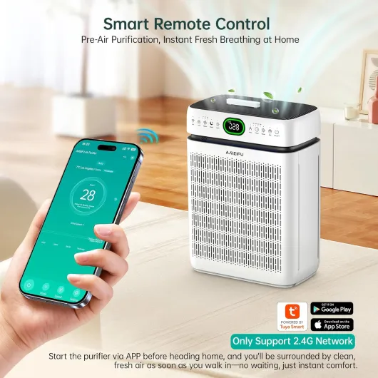 81FfU-yHI7L._AC_SL1500_