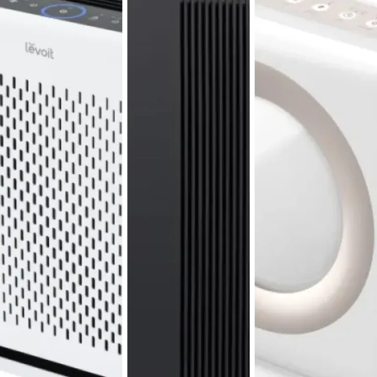 Our selection of the 52 best true HEPA air purifiers (2026)