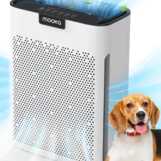 MOOKA KJ190L Air Purifier Review: a compact workhorse for pet hair and stale air