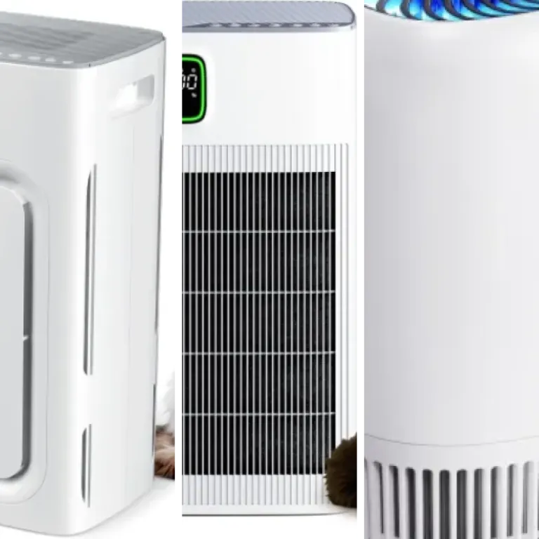 Which air purifiers for pets to choose? Top 12 (2026)