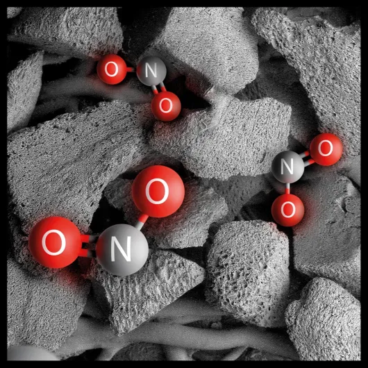 910MtfNM0QL._AC_SL1500_