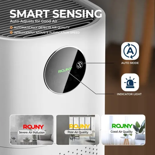 617FjxXzzML._AC_SL1000_