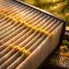 Pollen Explosion Hits Pacific Northwest and Southern US: How to Set Up Your Air Purifier This Week