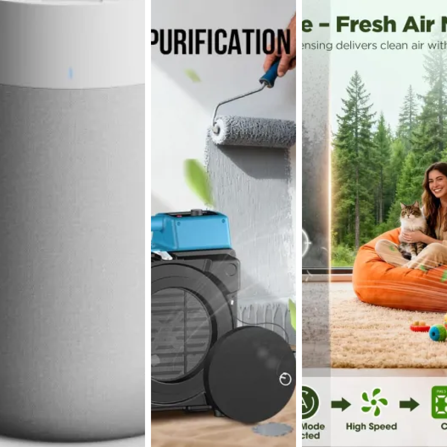 The 5 best air purifiers for medium rooms (2026)