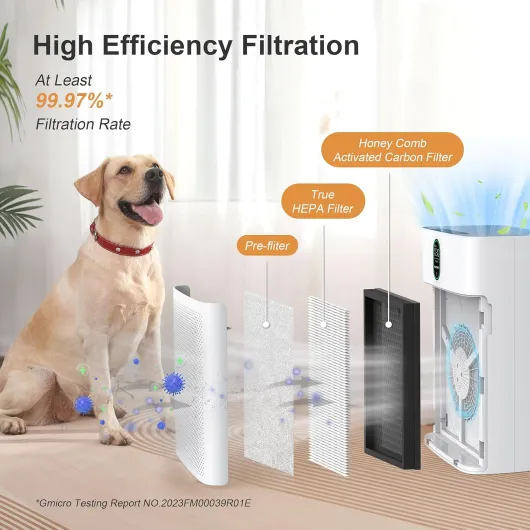 Smart Air Purifier for home Large Rooms up to 1076 ft², Wi-Fi and Alexa compatible, Auto Mode, Quiet Mode 24dB, HEPA Filter Removes Dust, Pollen, Smoke, 1 Pack + 3 Modes