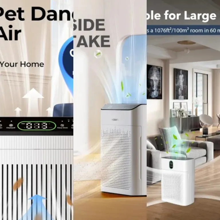 Guide: the 6 best air purifiers for basements (2026)