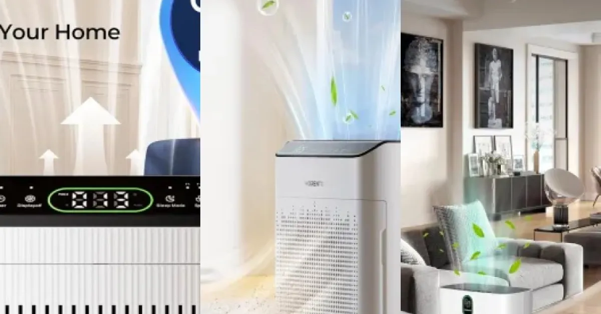 Guide: the 5 best air purifiers for basements (May 2026)