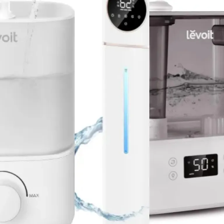 Ranking of the 4 best air purifiers with humidifier (2026)
