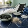 After Two Cats and One Year: What Pet Owners Should Know That No Review Will Tell You in Week One