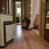 How a true HEPA air purifier tackles mold in real homes