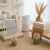 Washable vs Disposable Filters: The Two-Year Cost Breakdown and When Each Type Actually Makes Sense