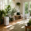Running Two Purifiers in One Room: When Doubling Up Helps and When It Just Doubles Your Electricity Bill
